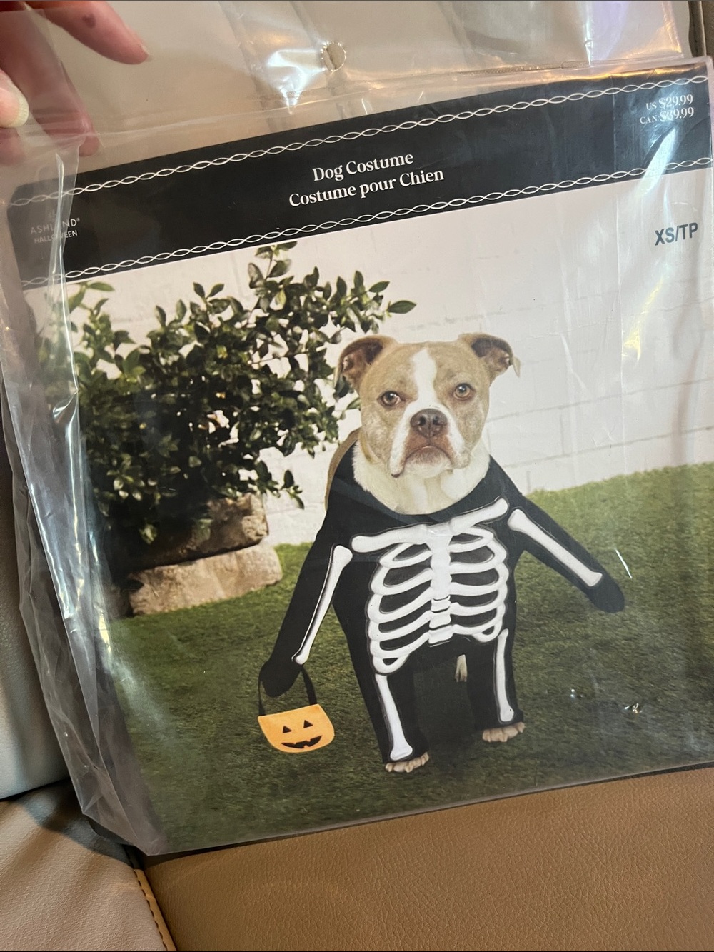 Dog Costume - Black Skeleton Dog Costume